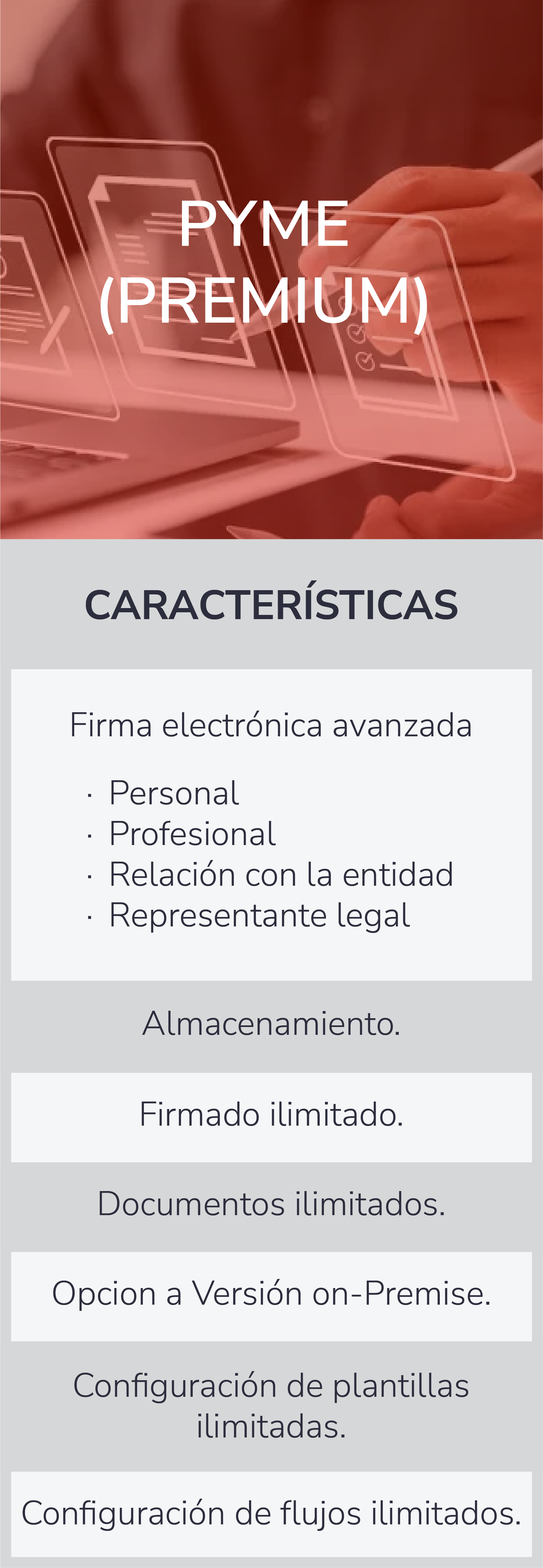 Pyme Premium_2 Pyme Premium